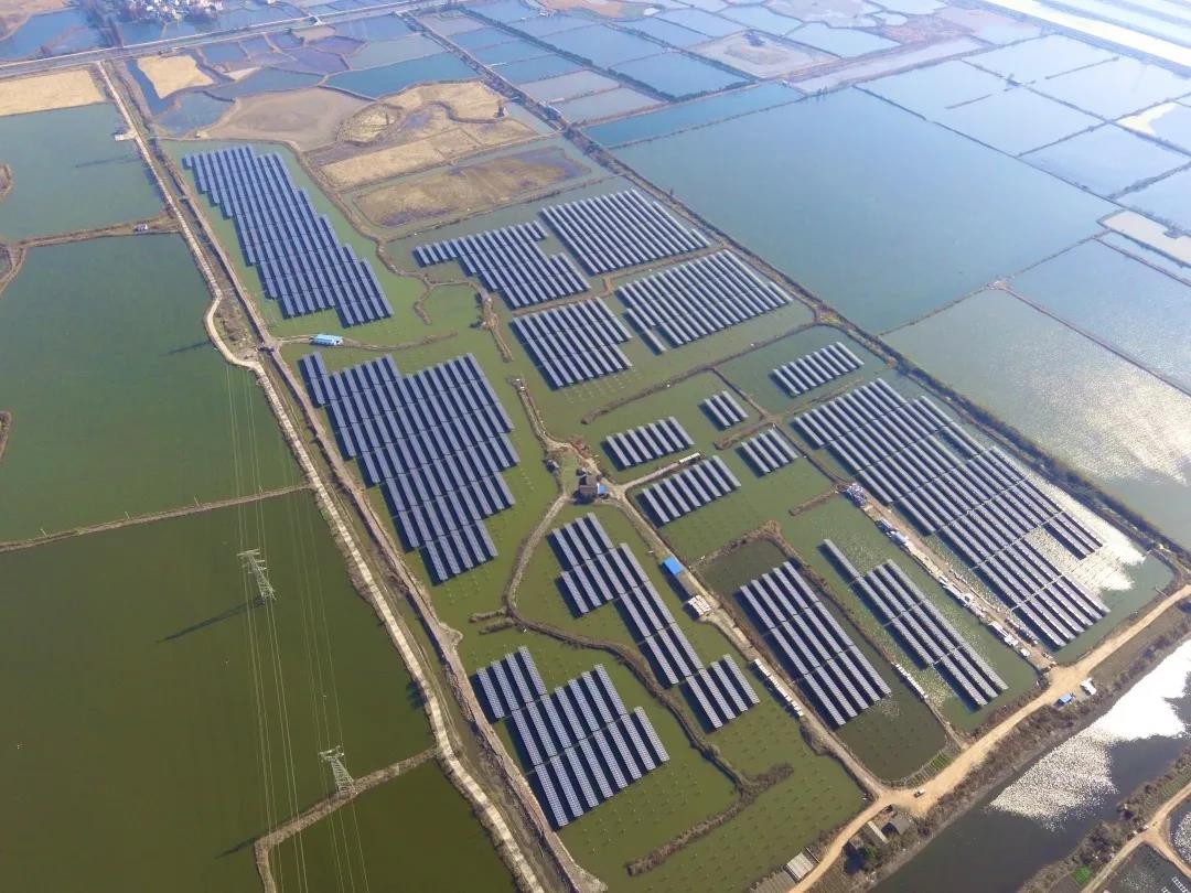 A Fishery-solar Masterpiece in the Watery Town - www.taiyangcheng.com's 110 MW PV Project in Tongling, Anhui Province Successfully Connected to the Grid for Power Generation